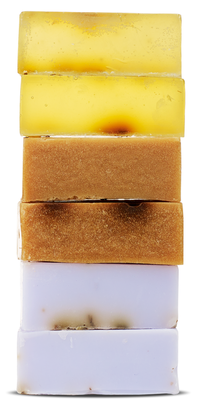 BeLoved Antibacterial Skin & Coat Pet Shampoo Bar Set