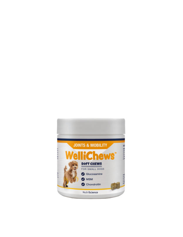 Wellichew Small Dog/Cat Joint Supplements