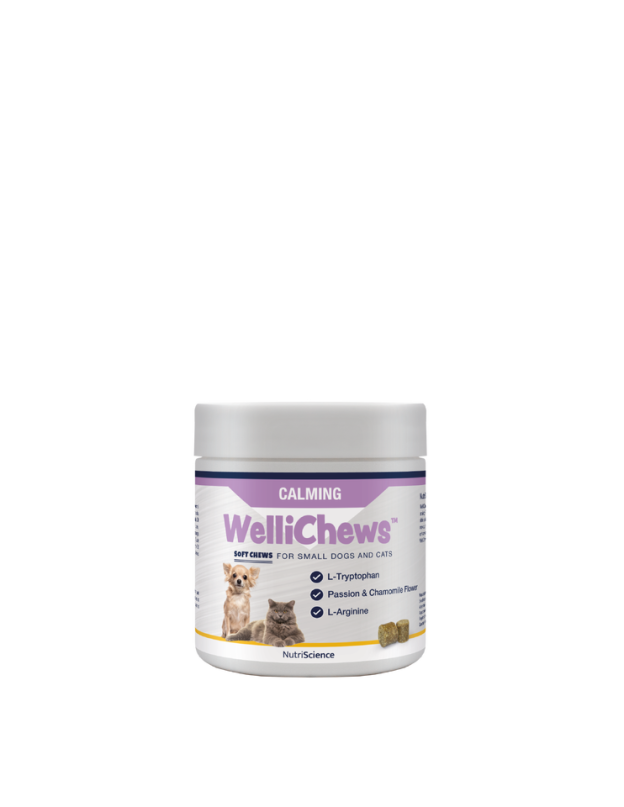 Wellichew Small Dog/Cat Calming Supplements