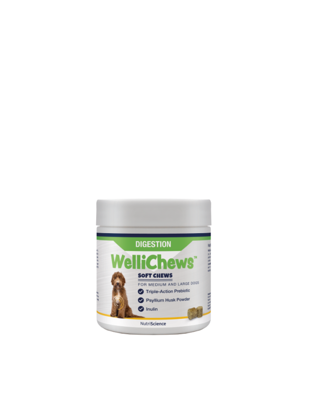Wellichew Medium/Large Dogs Digestion Supplements