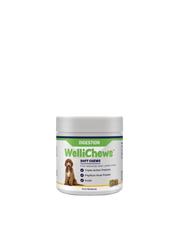 Wellichew Medium/Large Dogs Digestion Supplements