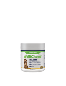 Wellichew Medium/Large Dogs Digestion Supplements