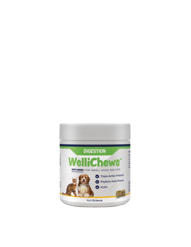 Wellichew Small Dog/Cat Digestion Supplements