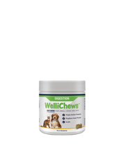 Wellichew Small Dog/Cat Digestion Supplements
