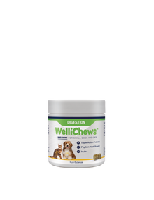 Wellichew Small Dog/Cat Digestion Supplements