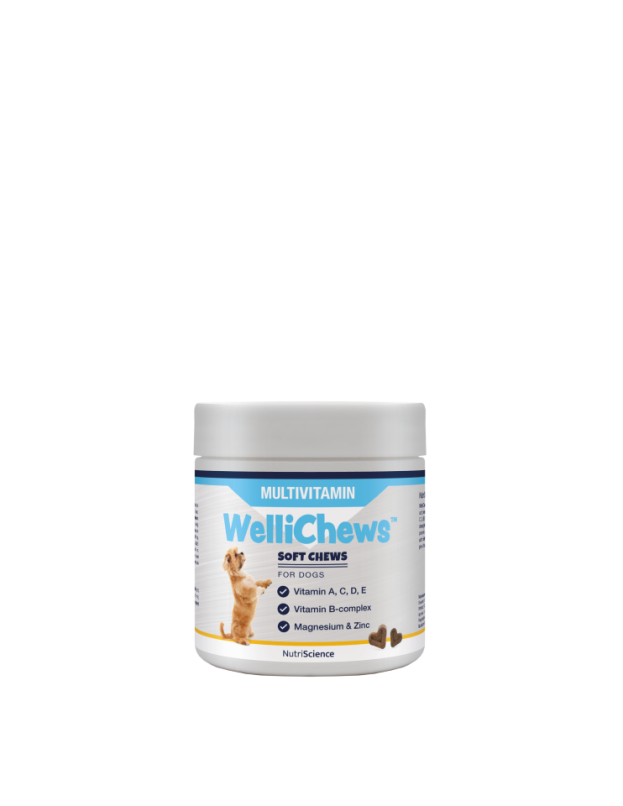 Wellichew Large Dogs Multi-Vitamin Supplements
