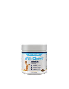 Wellichew Large Dogs Multi-Vitamin Supplements