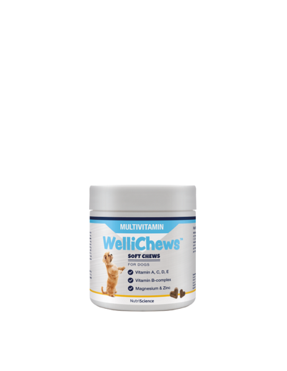 Wellichew Large Dogs Multi-Vitamin Supplements