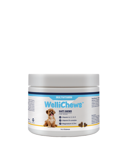 Wellichew Large Dogs Multi-Vitamin Supplements