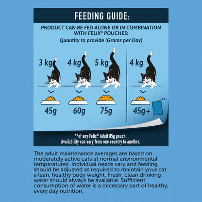 Felix Doubly Delicious Fish Selection Dry Cat Food