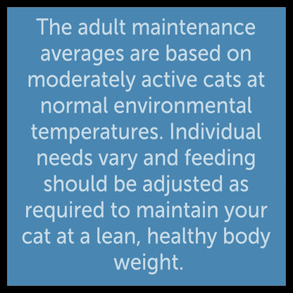 Felix Original Farm Selection in Jelly Wet Cat Food