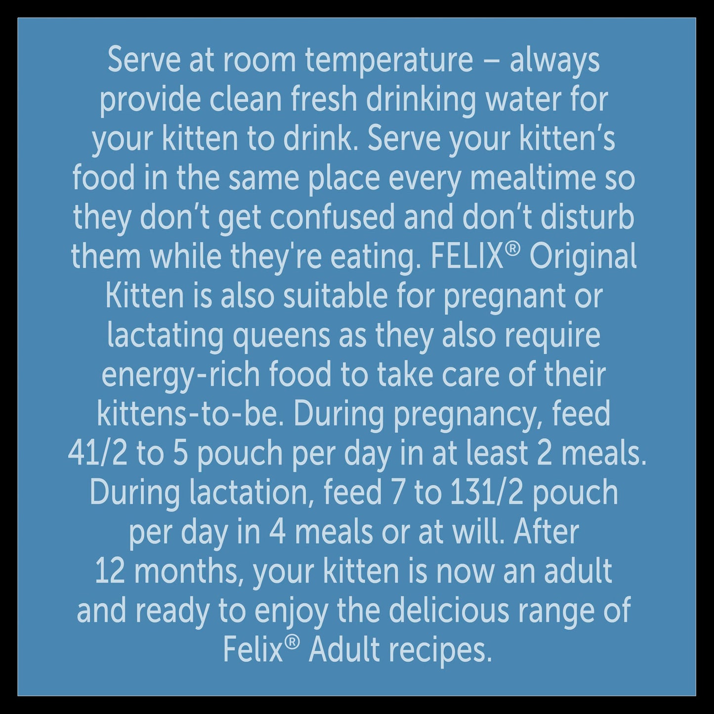 Felix Original Kitten Fish Selection in Jelly Wet Cat Food