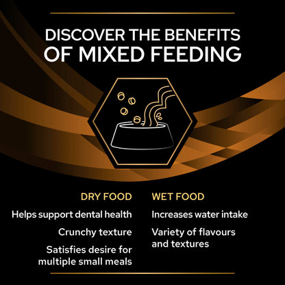 Purina Pro Plan Veterinary Diets NF Renal Mousse Wet Dog Food