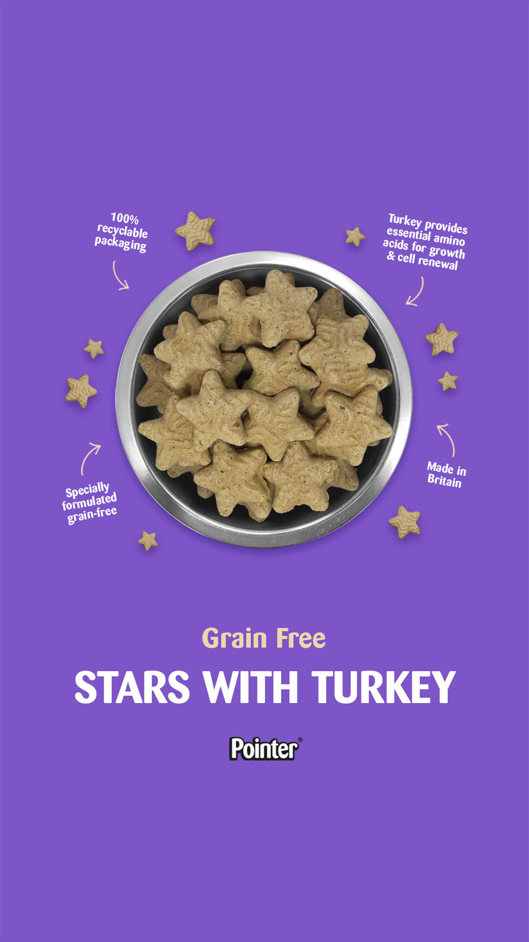 Pointer Grain Free Crunchy Turkey Stars Dog Treats