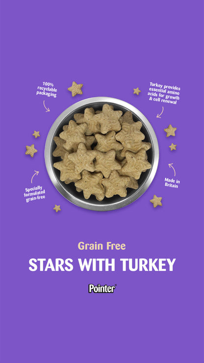 Pointer Grain Free Crunchy Turkey Stars Dog Treats