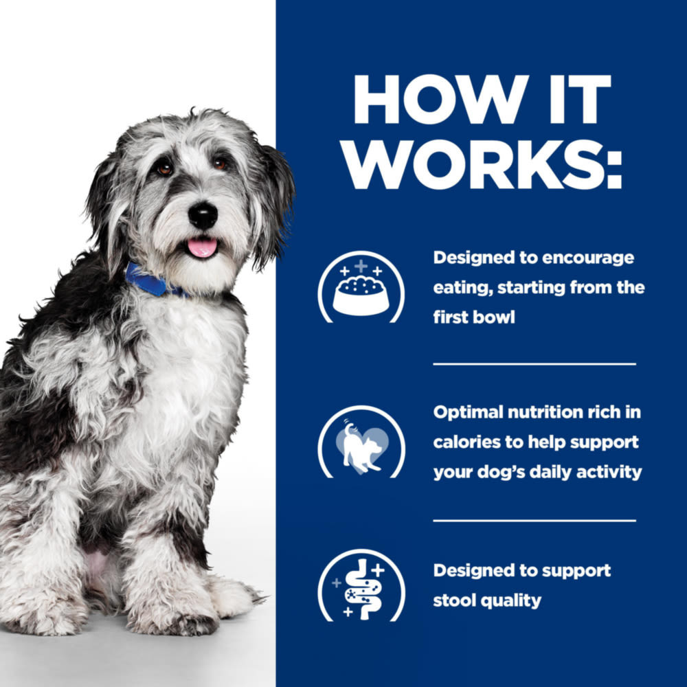 Hill's Prescription Diet On-Care Stew for Dogs with Chicken & Vegetables Wet Dog Food