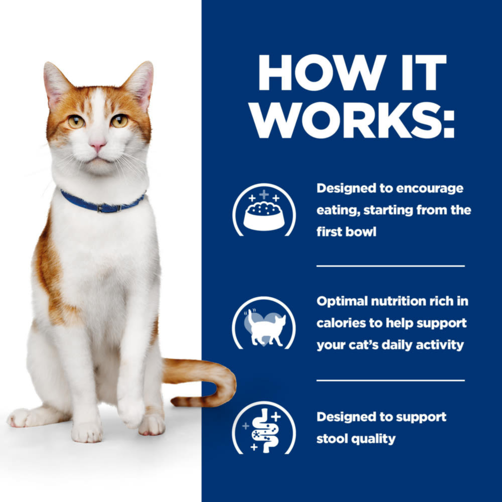 Hill's Prescription Diet On-Care with Chicken Dry Cat Food