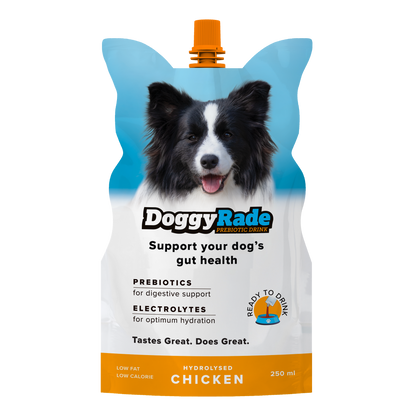 DoggyRade Prebiotic and Electrolyte Health Drinks for Dogs - Chicken