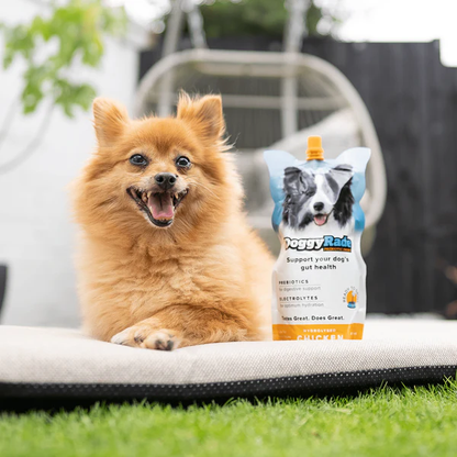 DoggyRade Prebiotic and Electrolyte Health Drinks for Dogs - Chicken