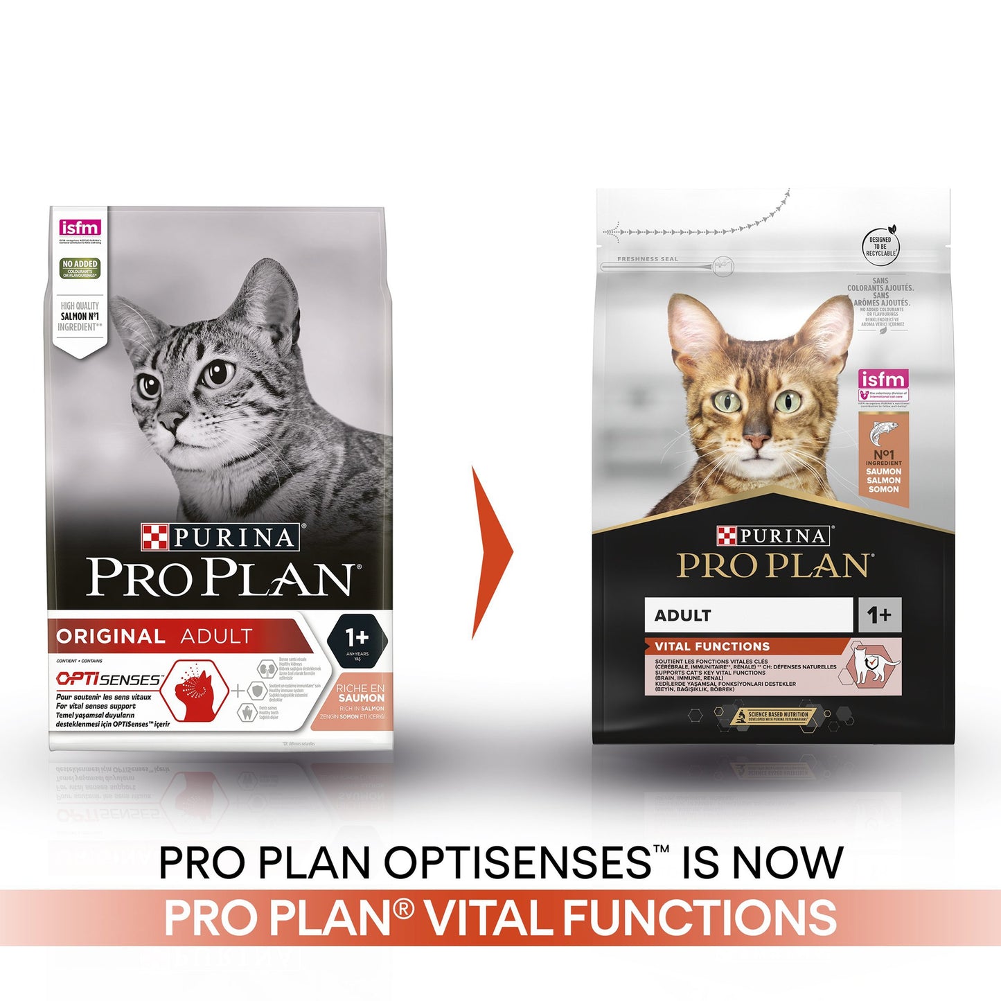 Pro Plan 1+ Vital Functions Rich in Salmon Adult Dry Cat Food