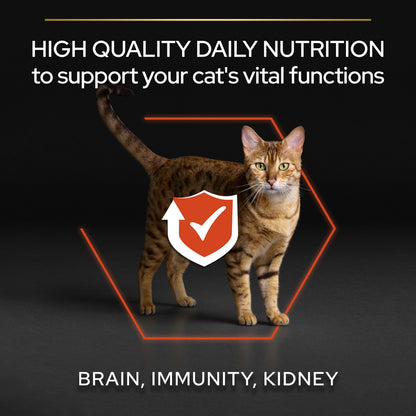 Pro Plan 1+ Vital Functions Rich in Salmon Adult Dry Cat Food