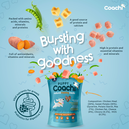 Coachi Puppy Natural Dog Training Treats - Chicken