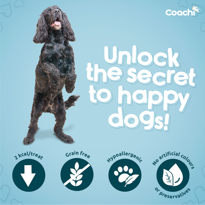 Coachi Puppy Natural Dog Training Treats - Chicken