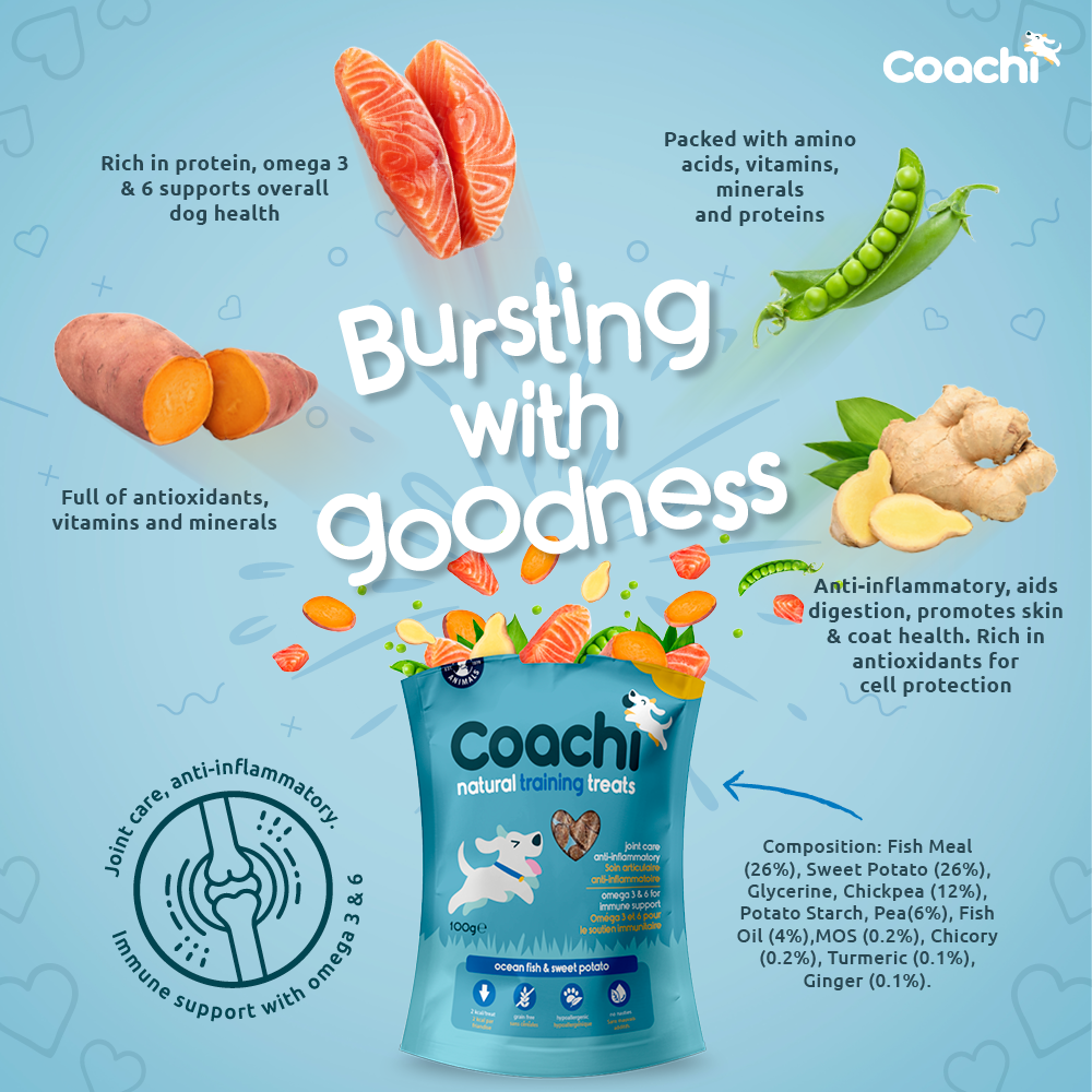 Coachi Natural Dog Training Treats - Ocean Fish