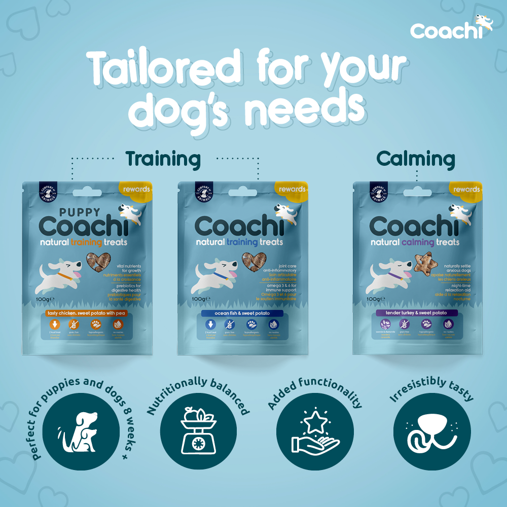 Coachi Natural Dog Training Treats - Ocean Fish