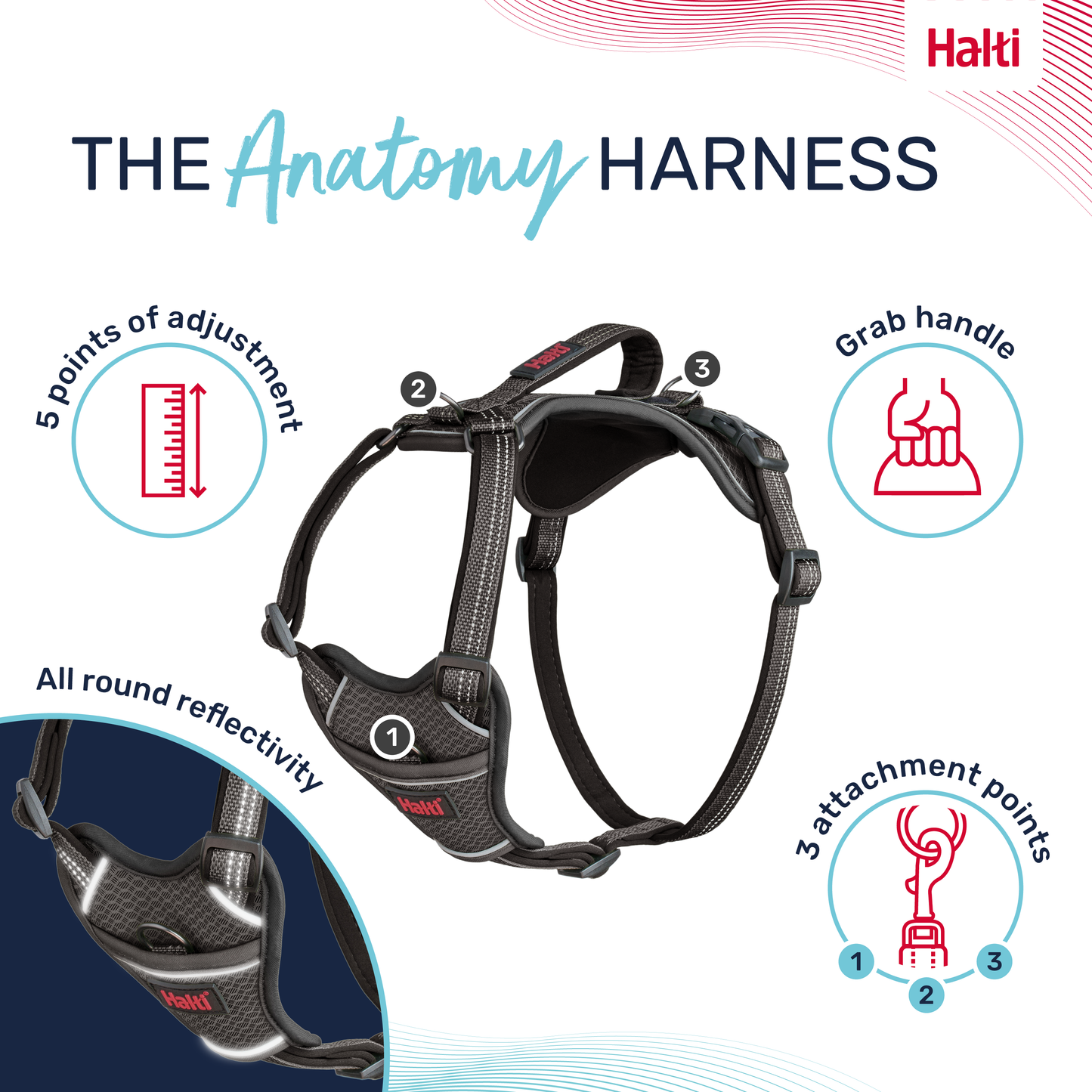Halti Anatomy Dog Harness - Grey