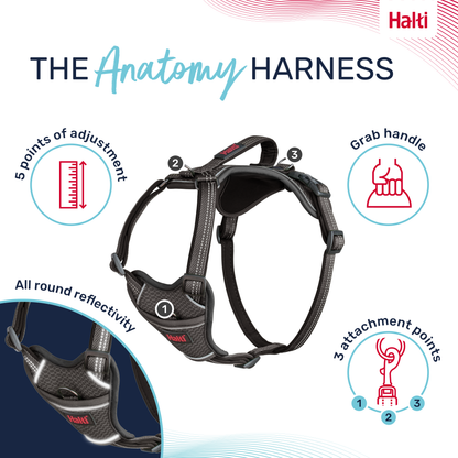 Halti Anatomy Dog Harness - Grey
