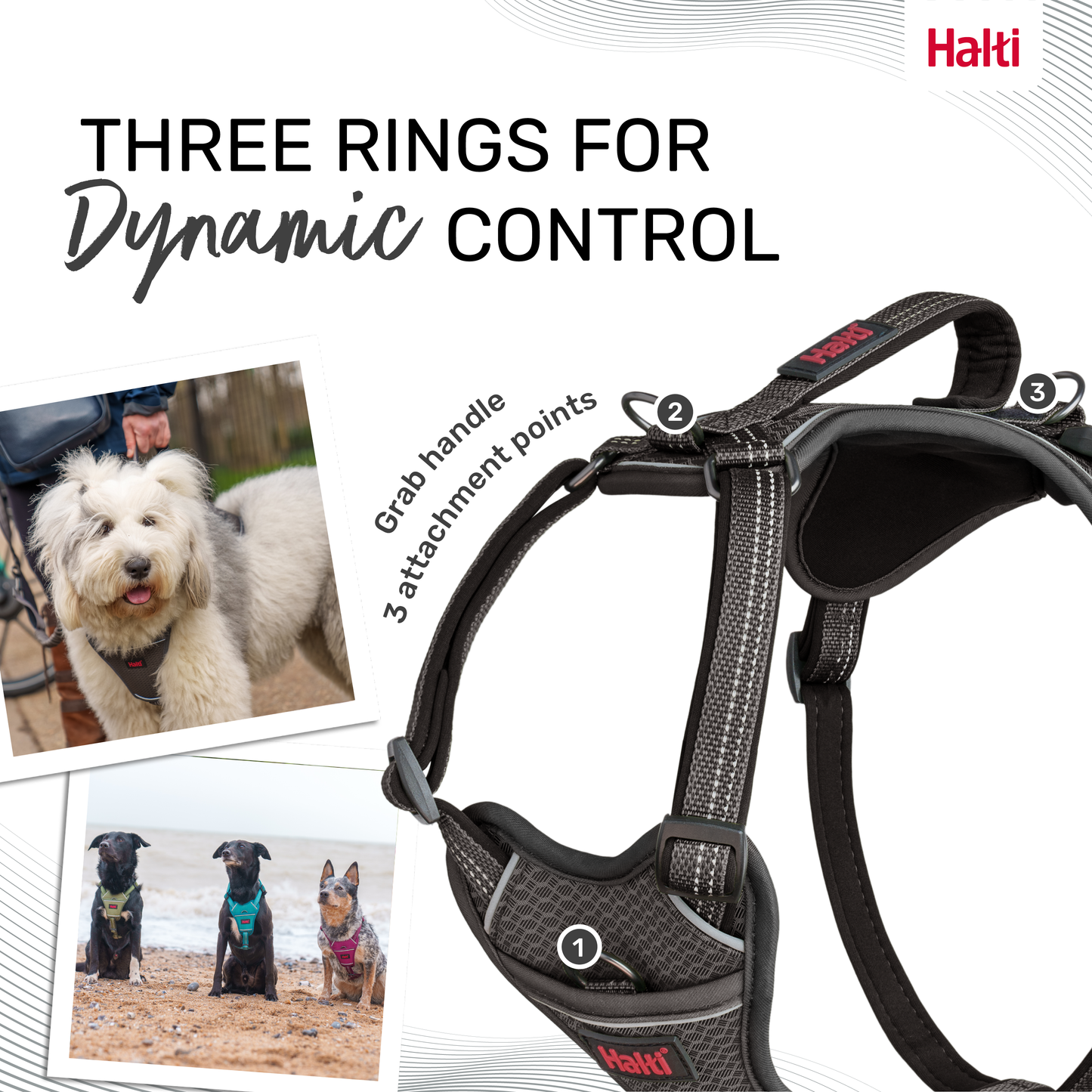 Halti Anatomy Dog Harness - Grey