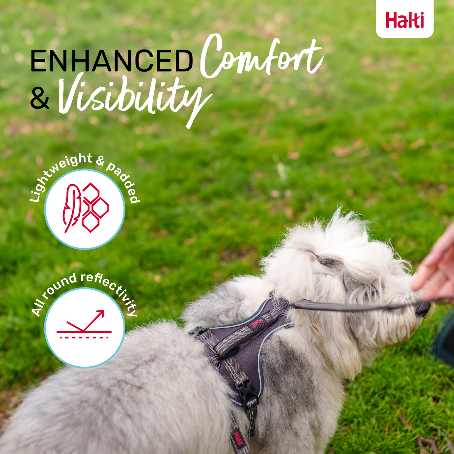 Halti Anatomy Dog Harness - Grey