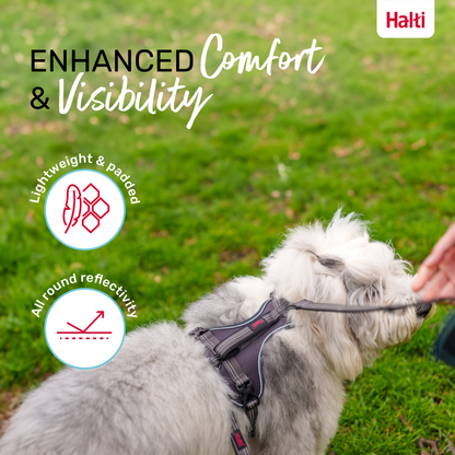 Halti Anatomy Dog Harness - Grey