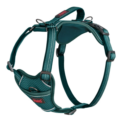 Halti Anatomy Dog Harness - Teal