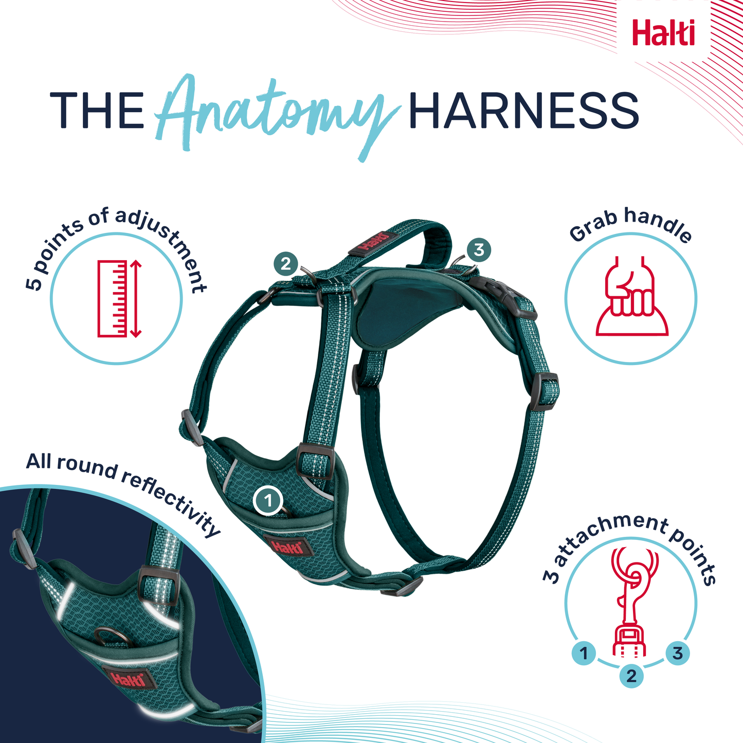 Halti Anatomy Dog Harness - Teal