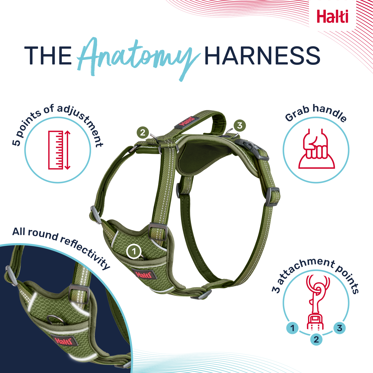 Halti Anatomy Dog Harness - Green