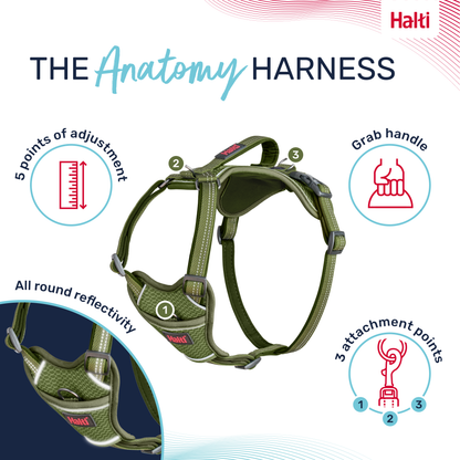 Halti Anatomy Dog Harness - Green