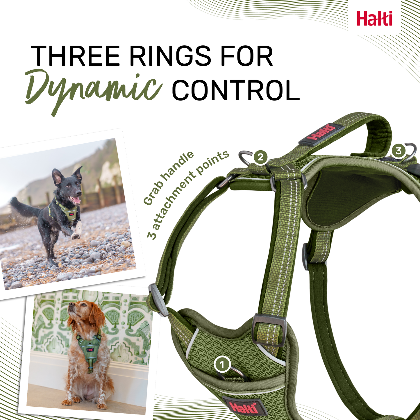 Halti Anatomy Dog Harness - Green