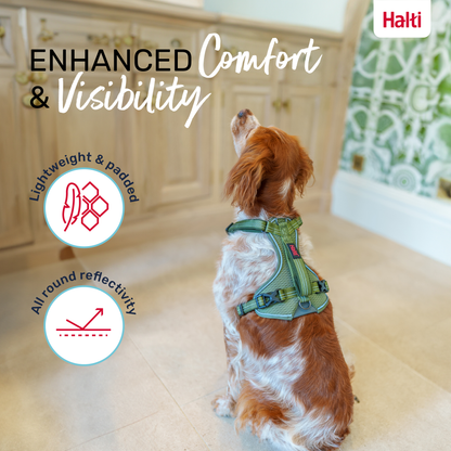 Halti Anatomy Dog Harness - Green