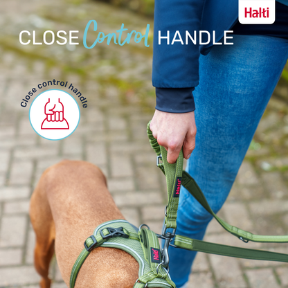 Halti Anatomy Multi Dog Lead - Teal