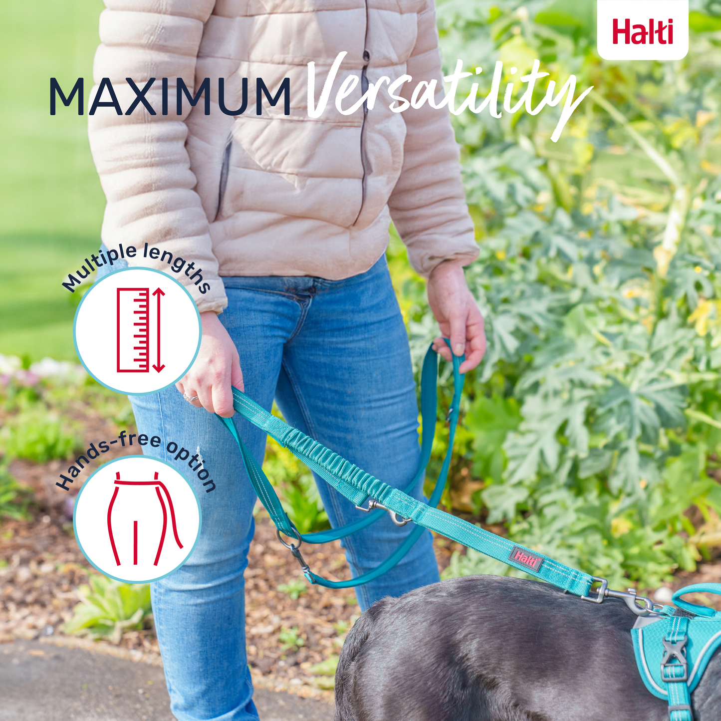Halti Anatomy Multi Dog Lead - Magenta