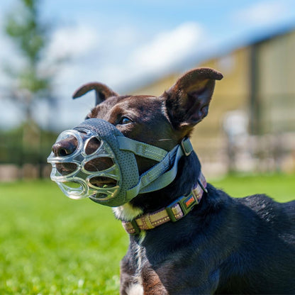 Baskerville INVISA Dog Muzzle - Clear