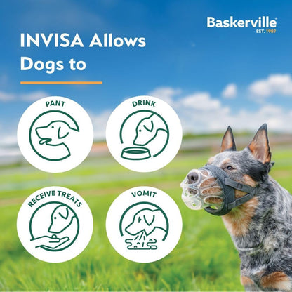 Baskerville INVISA Dog Muzzle - Clear