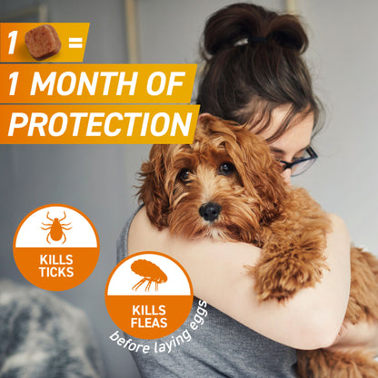 Frontpro Chewable Tablets Flea & Tick Treatment for Dogs - Medium (>4-10kg)