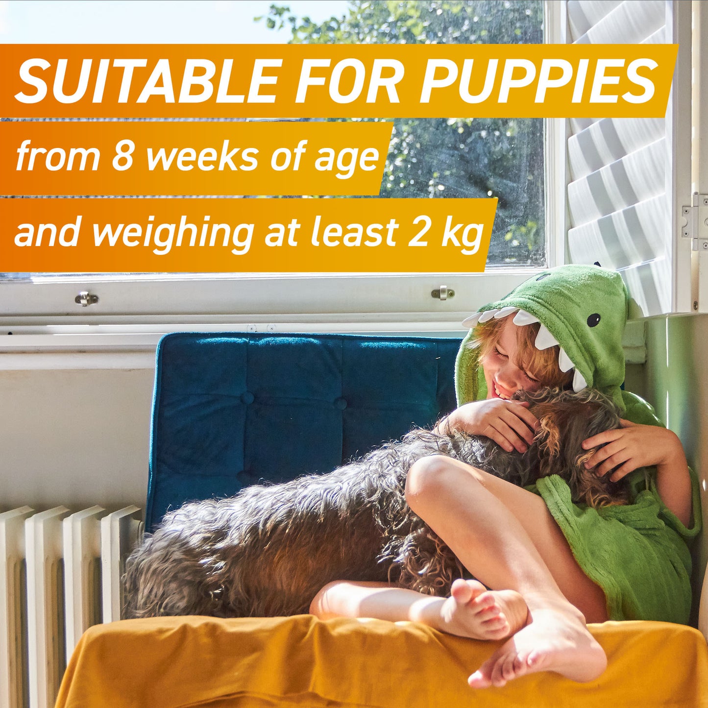 Frontpro Chewable Tablets Flea & Tick Treatment for Dogs - Medium (>4-10kg)