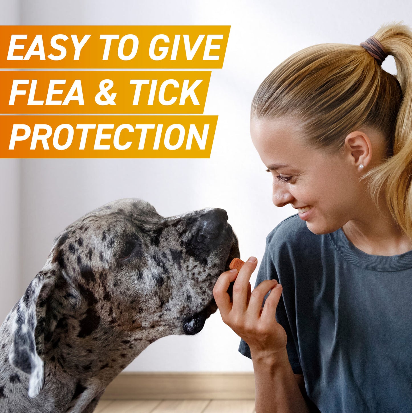 Frontpro Chewable Tablets Flea & Tick Treatment for Dogs - Large (>10-25kg)