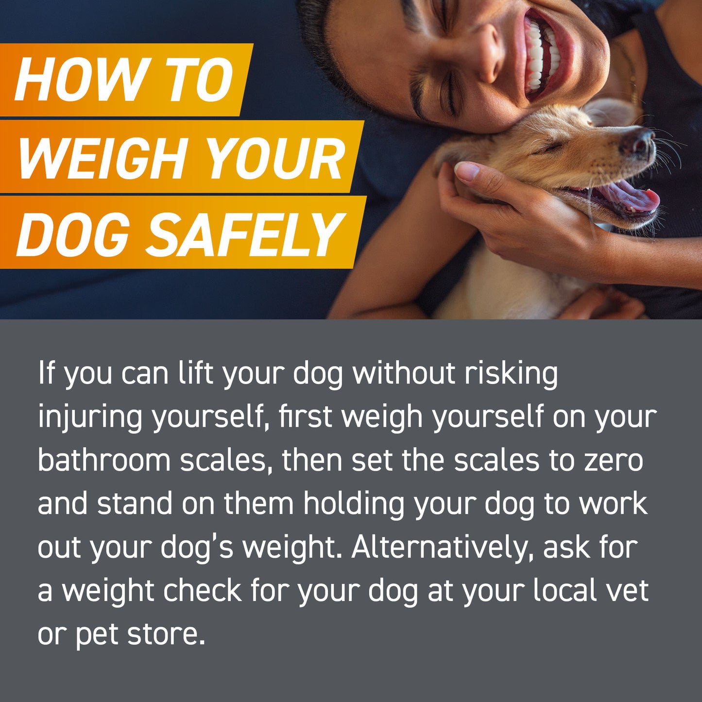 Frontpro Chewable Tablets Flea & Tick Treatment for Dogs - Large (>10-25kg)