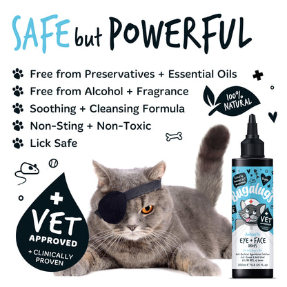 Bugalugs Antiseptic Eye Drops for Dogs, Cats & Pets