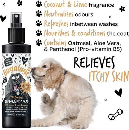 Bugalugs Oatmeal Dog Deodorising Spray with Coconut & Lime Fragrance